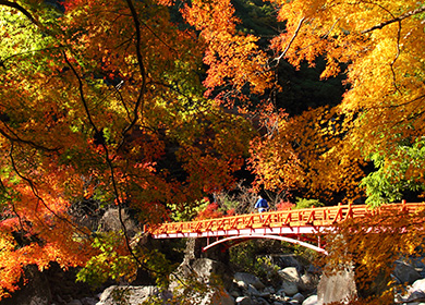 奇絶峡の紅葉