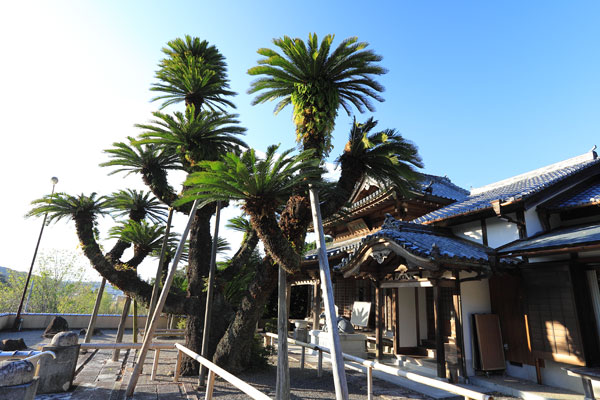 報恩寺（善光寺）