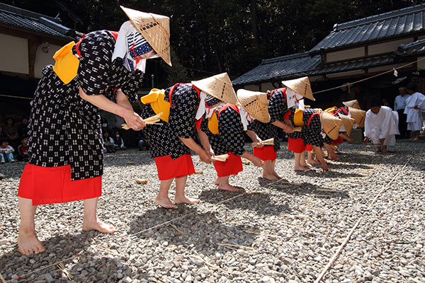 伊作田稲荷神社　御田植祭