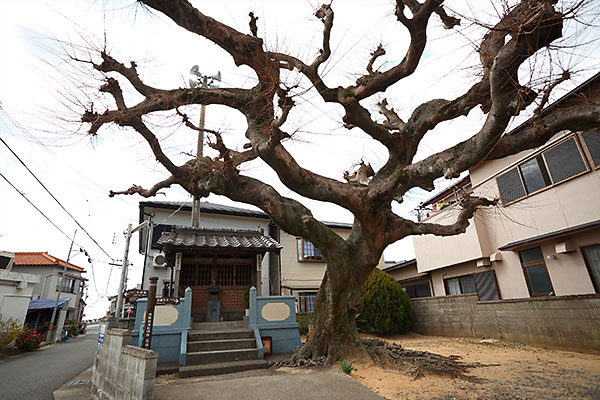 芳養一里塚