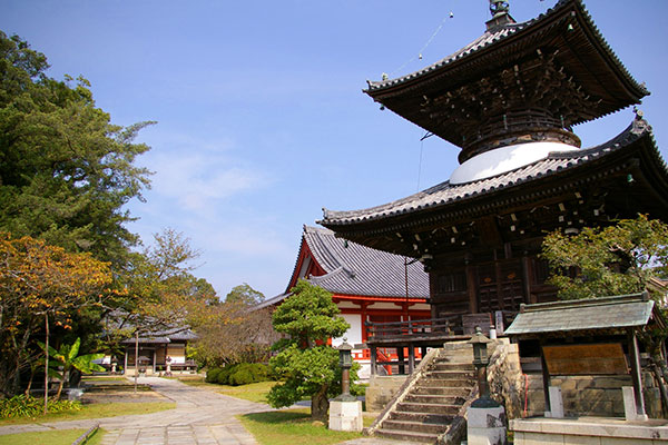 高山寺 多宝塔と境内