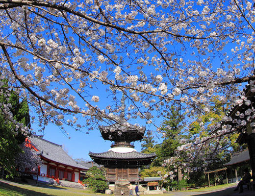 高山寺