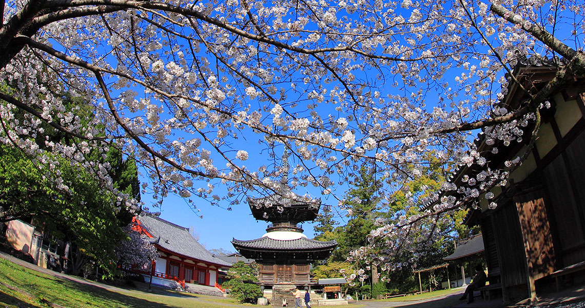 高山寺