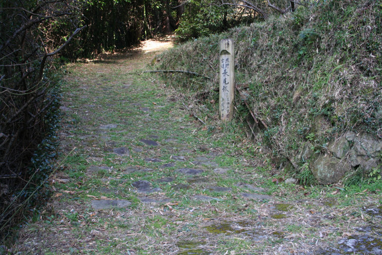 世界遺産　長尾坂