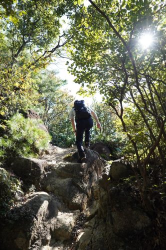 高尾山